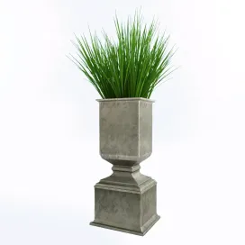 Plant in pot Enzo De Gasperi
